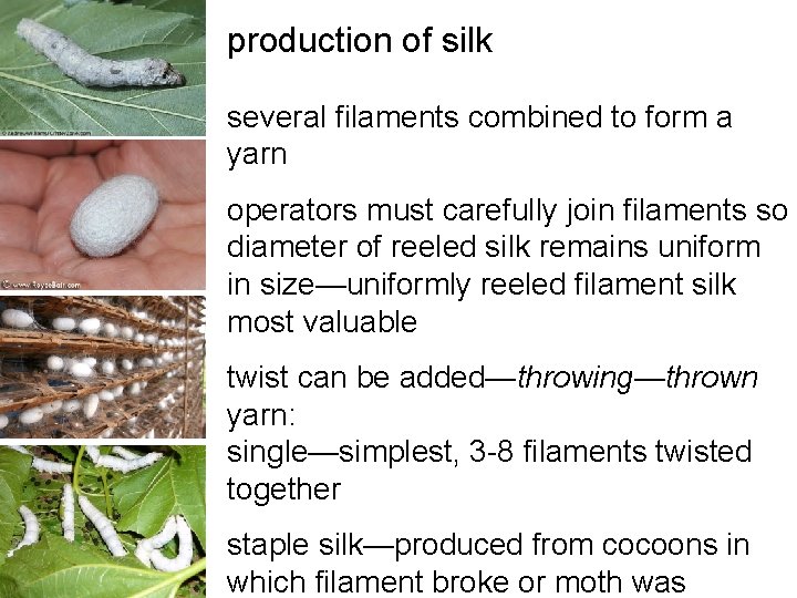 production of silk several filaments combined to form a yarn operators must carefully join production of silk several filaments combined to form a yarn operators must carefully join