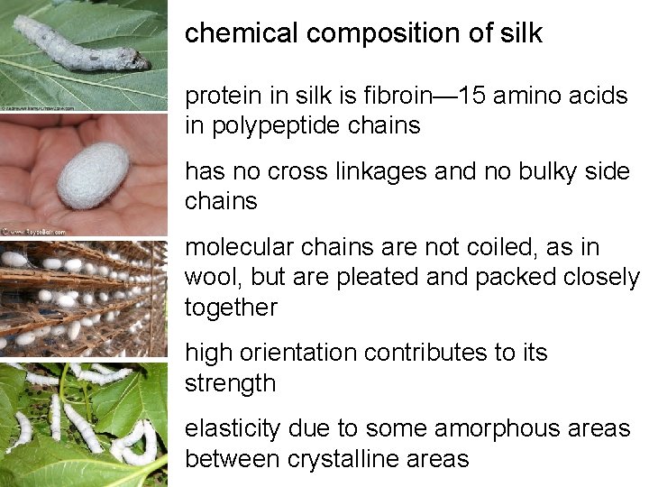 chemical composition of silk protein in silk is fibroin— 15 amino acids in polypeptide chemical composition of silk protein in silk is fibroin— 15 amino acids in polypeptide
