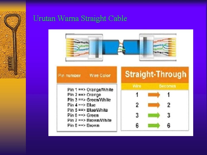 Urutan Warna Straight Cable 