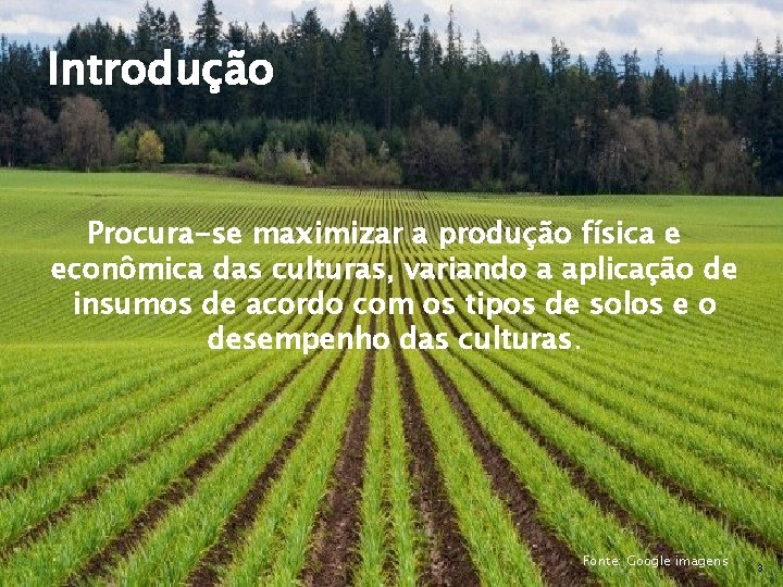 Introdução Procura-se maximizar a produção física e econômica das culturas, variando a aplicação de