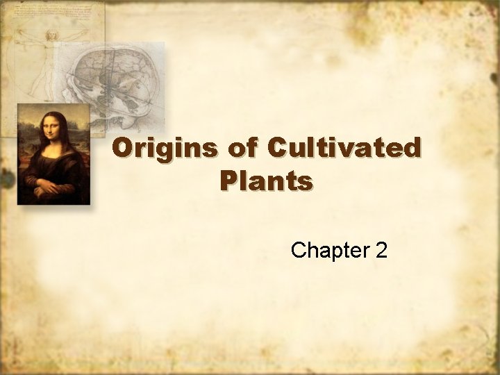 Plant Original Origins of Cultivated Plants Chapter 2 Why were
