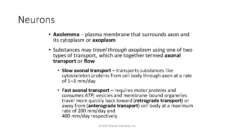 Neurons • Axolemma – plasma membrane that surrounds axon and its cytoplasm or axoplasm