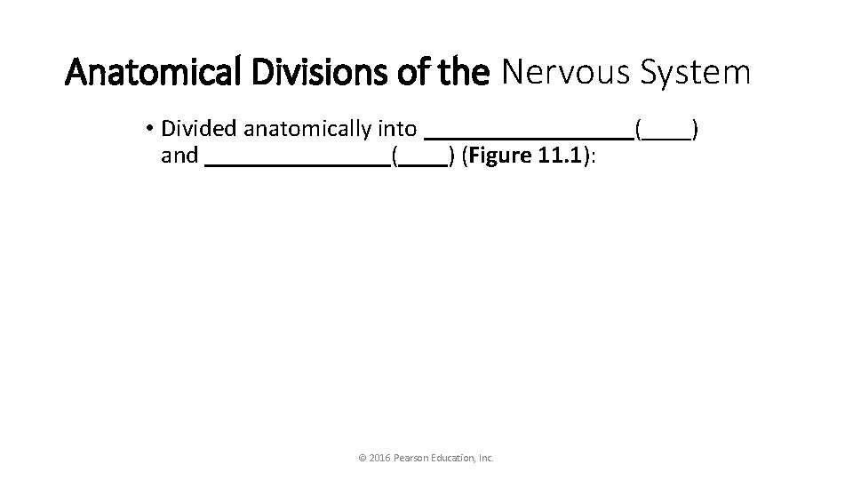 Anatomical Divisions of the Nervous System • Divided anatomically into _________(____) and ________(____) (Figure