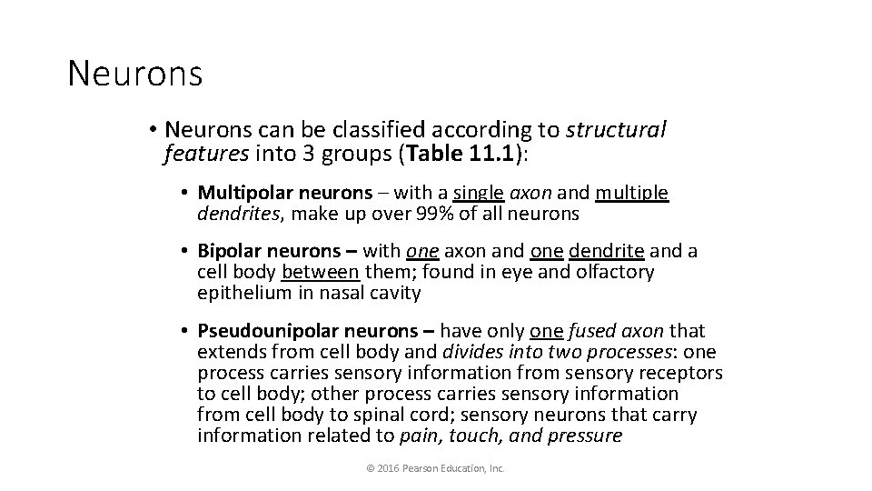 Neurons • Neurons can be classified according to structural features into 3 groups (Table