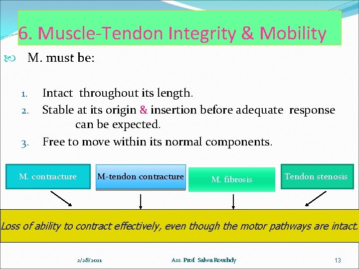 6. Muscle-Tendon Integrity & Mobility M. must be: 1. 2. 3. Intact throughout its