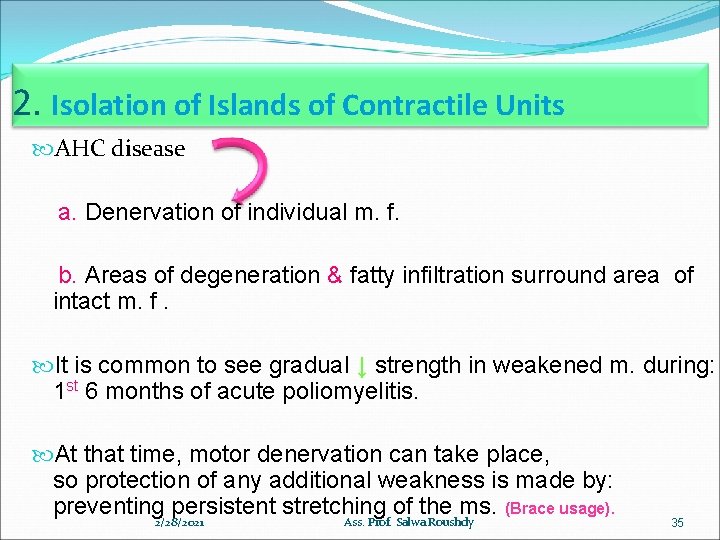 2. Isolation of Islands of Contractile Units AHC disease a. Denervation of individual m.