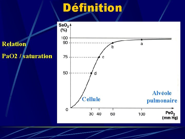 Définition Relation Pa. O 2 / saturation Cellule Alvéole pulmonaire 