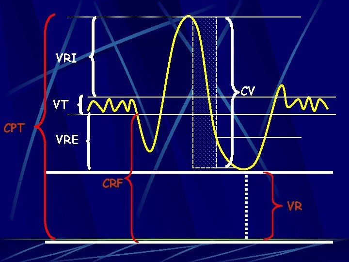 VRI CV VT CPT VRE CRF VR 