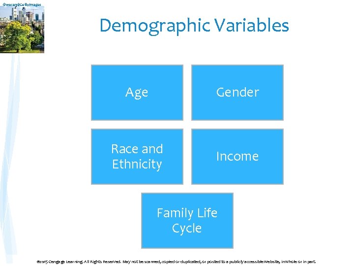 ©wecand/Getty. Images Demographic Variables Age Gender Race and Ethnicity Income Family Life Cycle ©