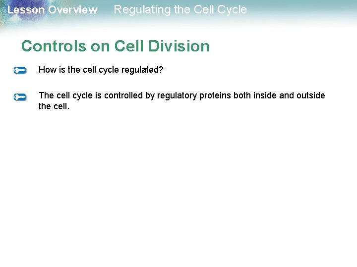 Lesson Overview Regulating the Cell Cycle Controls on Cell Division How is the cell