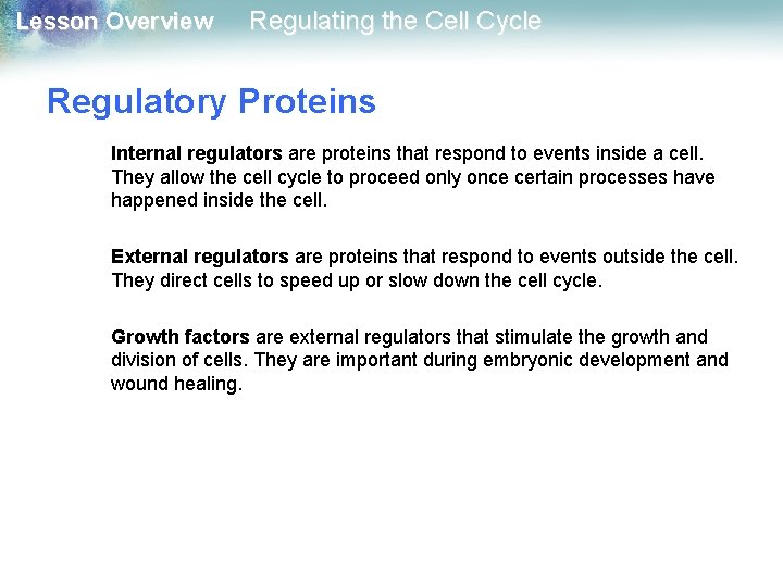 Lesson Overview Regulating the Cell Cycle Regulatory Proteins Internal regulators are proteins that respond