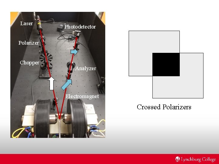 Laser Photodetector Polarizer Chopper Analyzer Electromagnet Crossed Polarizers Laser Photodetector Polarizer Chopper Analyzer Electromagnet Crossed Polarizers