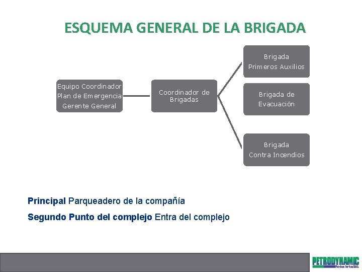 ESQUEMA GENERAL DE LA BRIGADA Brigada Primeros Auxilios Equipo Coordinador Plan de Emergencia Gerente