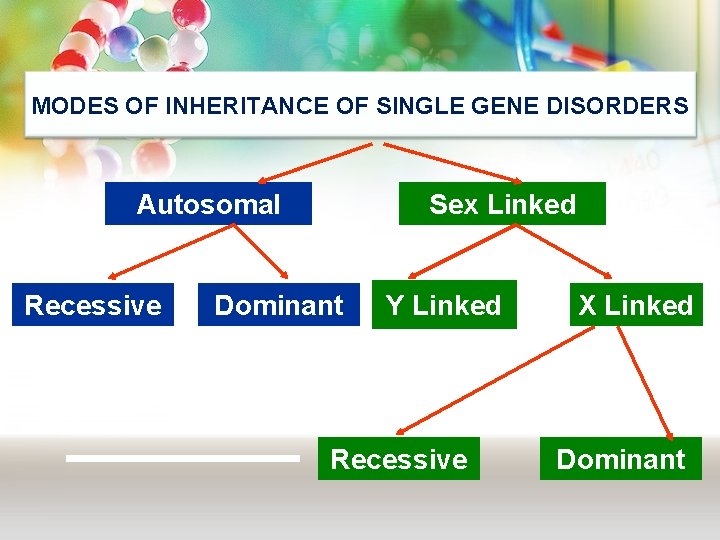 MODES OF INHERITANCE OF SINGLE GENE DISORDERS Autosomal Recessive Sex Linked Dominant Y Linked