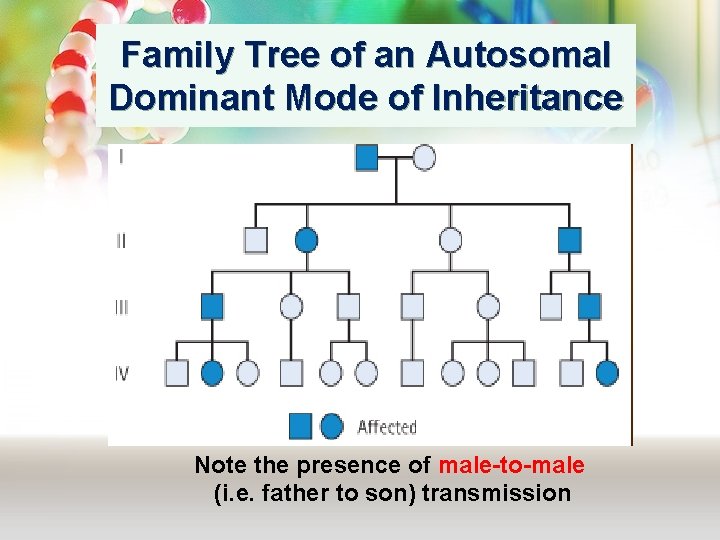 Family Tree of an Autosomal Dominant Mode of Inheritance Note the presence of male-to-male