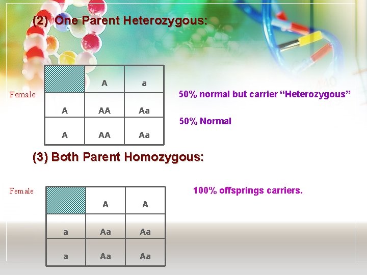 (2) One Parent Heterozygous: A a 50% normal but carrier “Heterozygous” Female A AA
