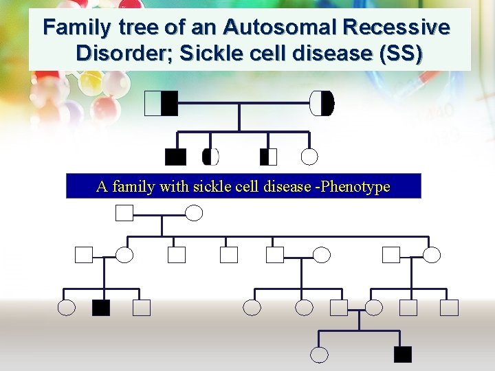 Family tree of an Autosomal Recessive Disorder; Sickle cell disease (SS) A family with