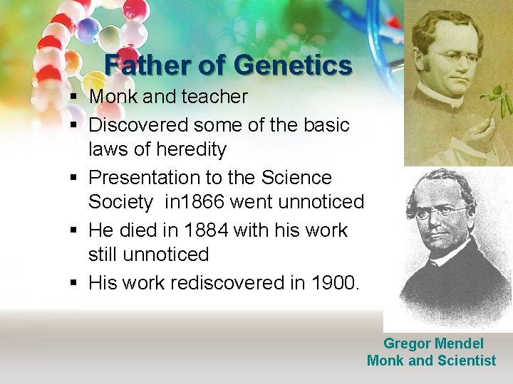 Father of Genetics § Monk and teacher § Discovered some of the basic laws