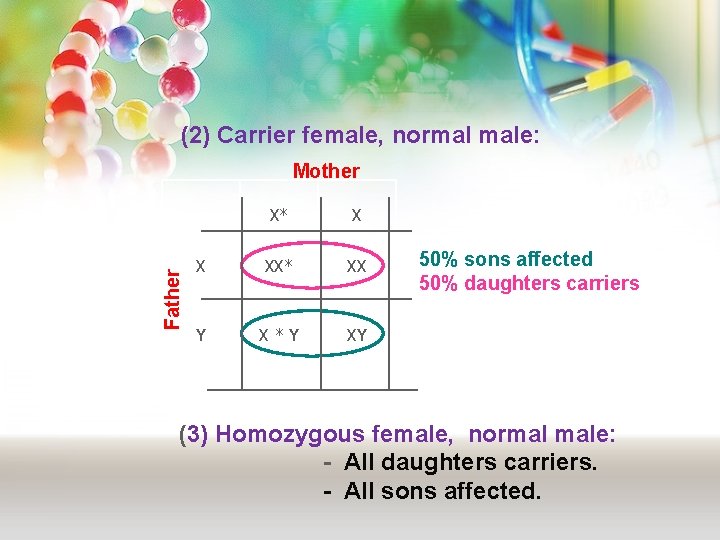 (2) Carrier female, normal male: Father Mother X* X X XX* XX Y X*Y