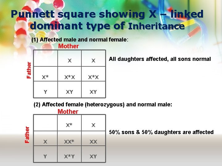 Punnett square showing X – linked dominant type of Inheritance (1) Affected male and
