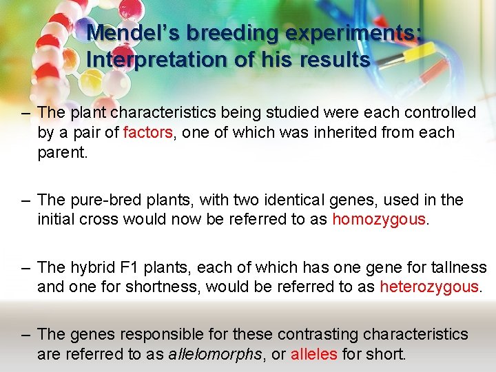 Mendel’s breeding experiments: Interpretation of his results – The plant characteristics being studied were