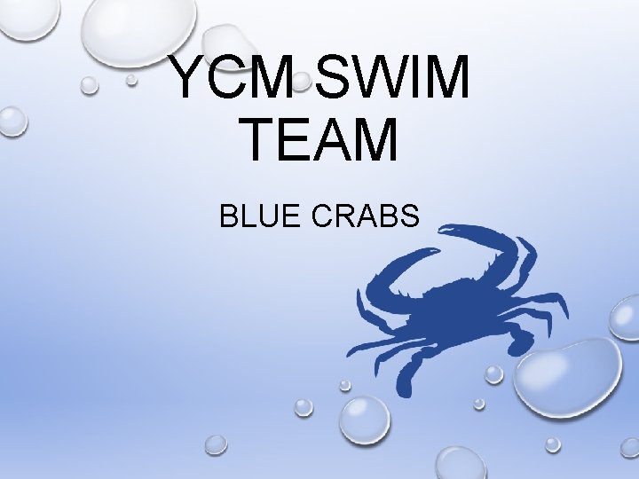 YCM SWIM TEAM BLUE CRABS 