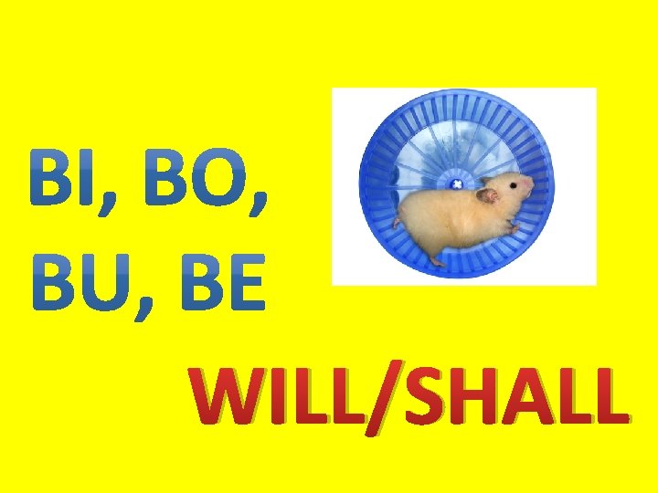 WILL/SHALL 