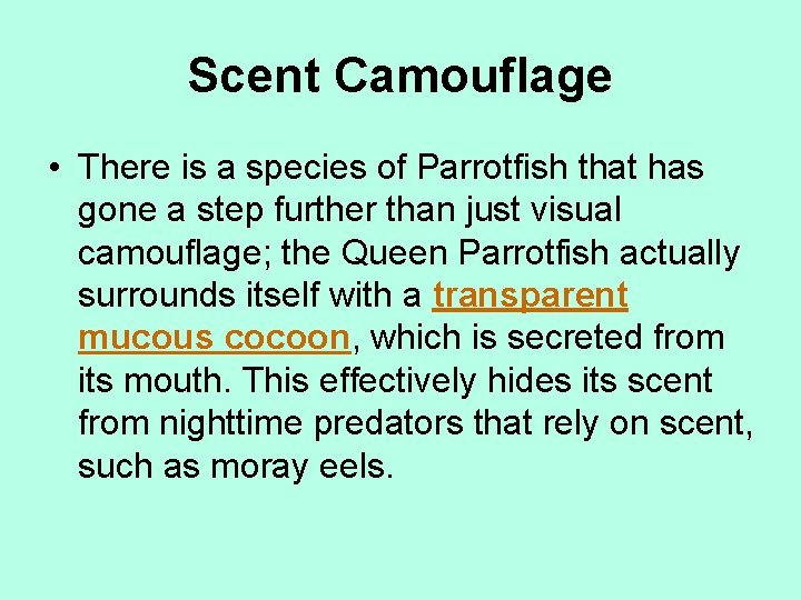 Scent Camouflage • There is a species of Parrotfish that has gone a step