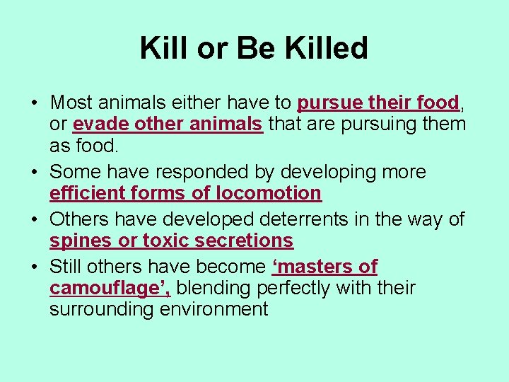Kill or Be Killed • Most animals either have to pursue their food, or