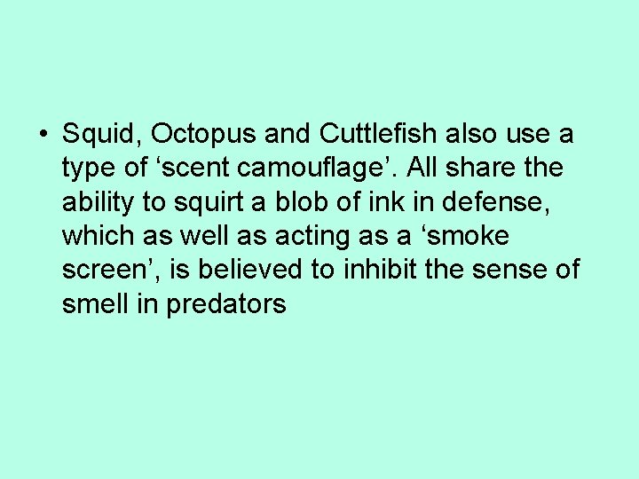  • Squid, Octopus and Cuttlefish also use a type of ‘scent camouflage’. All