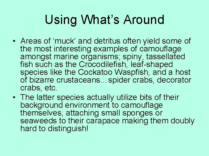 Using What’s Around • Areas of ‘muck’ and detritus often yield some of the