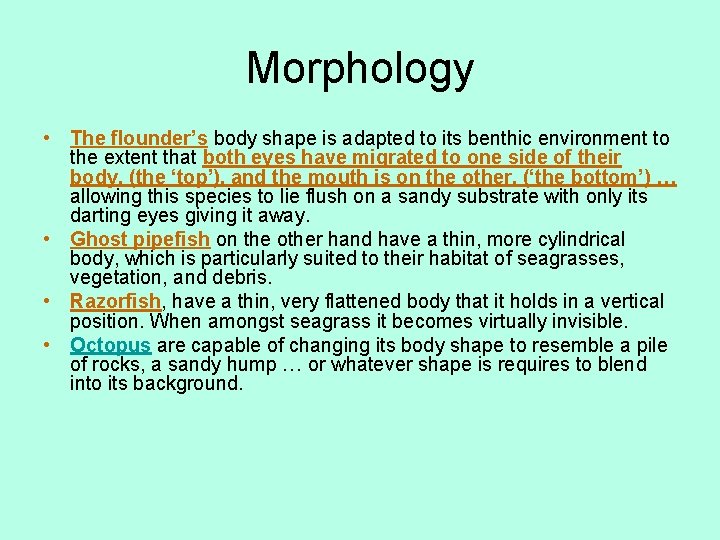 Morphology • The flounder’s body shape is adapted to its benthic environment to the