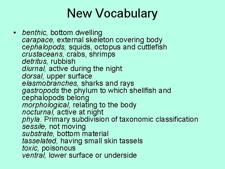 New Vocabulary • benthic, bottom dwelling carapace, external skeleton covering body cephalopods, squids, octopus