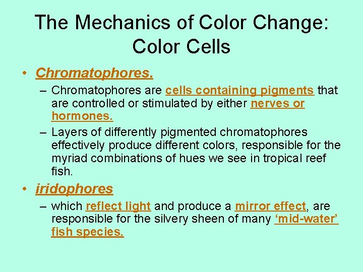 The Mechanics of Color Change: Color Cells • Chromatophores. – Chromatophores are cells containing