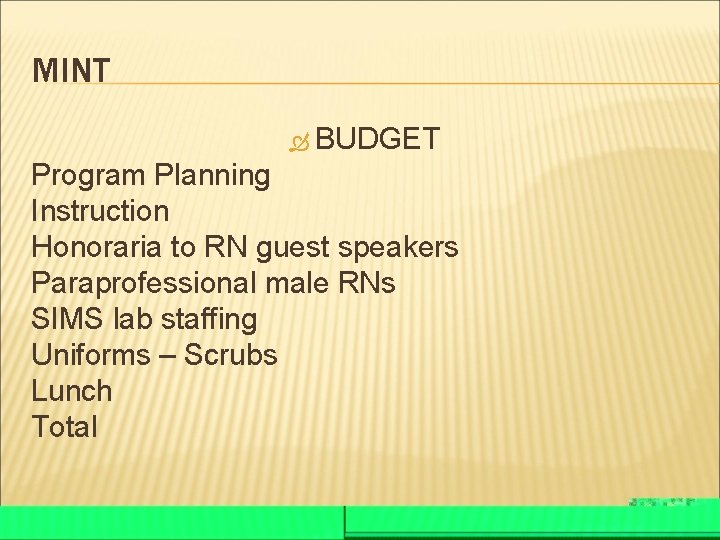 MINT BUDGET Program Planning Instruction Honoraria to RN guest speakers Paraprofessional male RNs SIMS