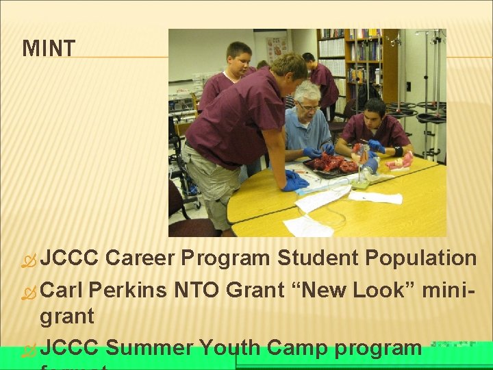 MINT JCCC Career Program Student Population Carl Perkins NTO Grant “New Look” mini- grant