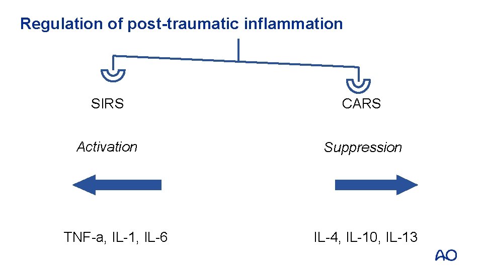 Regulation of post-traumatic inflammation SIRS CARS Activation Suppression TNF-a, IL-1, IL-6 IL-4, IL-10, IL-13 Regulation of post-traumatic inflammation SIRS CARS Activation Suppression TNF-a, IL-1, IL-6 IL-4, IL-10, IL-13