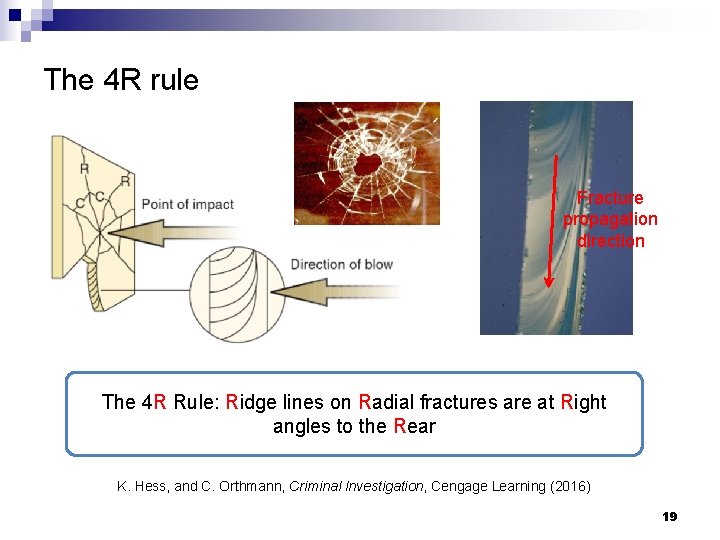 The 4 R rule Fracture propagation direction The 4 R Rule: Ridge lines on