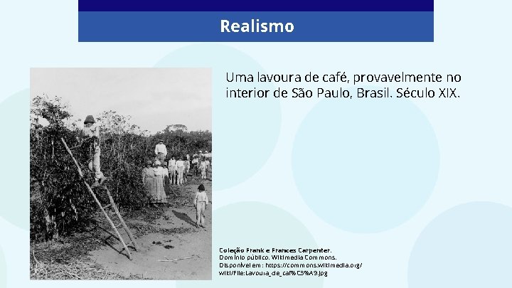 Realismo Uma lavoura de café, provavelmente no interior de São Paulo, Brasil. Século XIX.