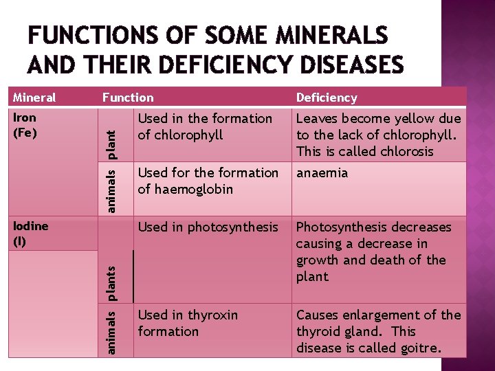 FUNCTIONS OF SOME MINERALS AND THEIR DEFICIENCY DISEASES Iron (Fe) Function animals plant Mineral