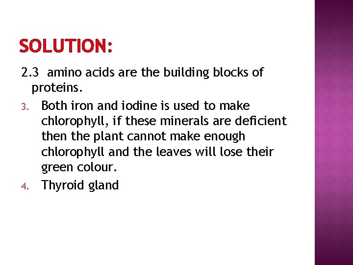 SOLUTION: 2. 3 amino acids are the building blocks of proteins. 3. Both iron