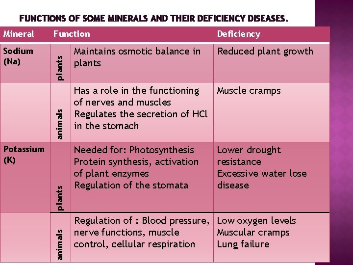FUNCTIONS OF SOME MINERALS AND THEIR DEFICIENCY DISEASES. animals Sodium (Na) Function plants Mineral FUNCTIONS OF SOME MINERALS AND THEIR DEFICIENCY DISEASES. animals Sodium (Na) Function plants Mineral