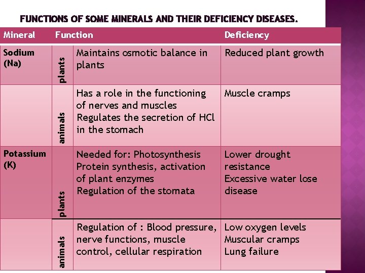 FUNCTIONS OF SOME MINERALS AND THEIR DEFICIENCY DISEASES. animals Sodium (Na) Function plants Mineral