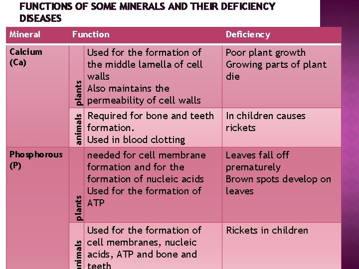FUNCTIONS OF SOME MINERALS AND THEIR DEFICIENCY DISEASES Mineral Function animals plants Calcium (Ca)