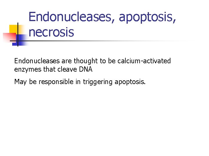Endonucleases, apoptosis, necrosis Endonucleases are thought to be calcium-activated enzymes that cleave DNA May