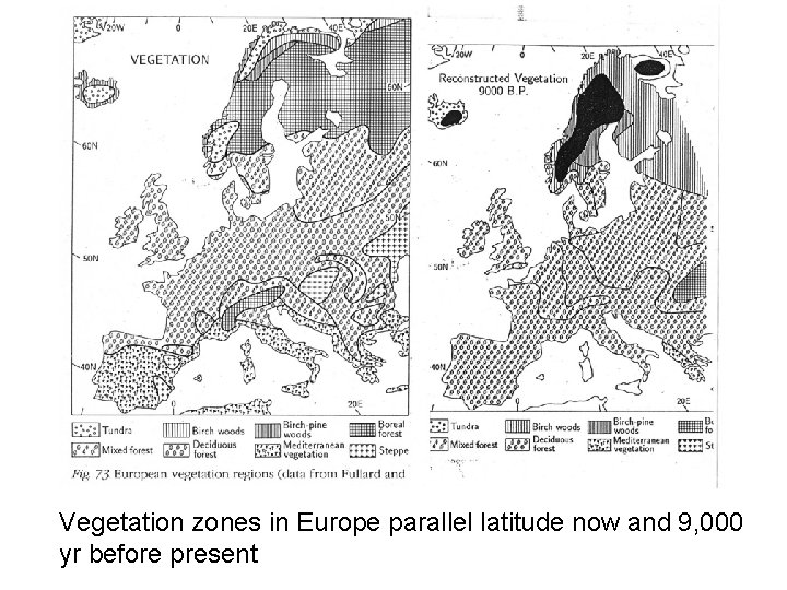 Vegetation zones in Europe parallel latitude now and 9, 000 yr before present 