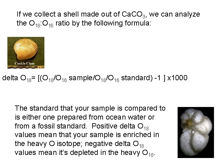 If we collect a shell made out of Ca. CO 3, we can analyze