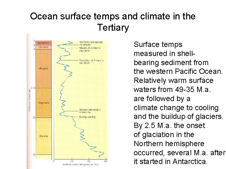 Ocean surface temps and climate in the Tertiary Surface temps measured in shellbearing sediment