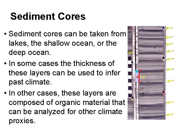 Sediment Cores • Sediment cores can be taken from lakes, the shallow ocean, or