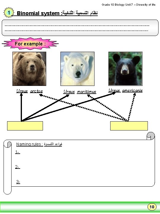  Grade 10 Biology Unit 7 – Diversity of life 1 Binomial system :